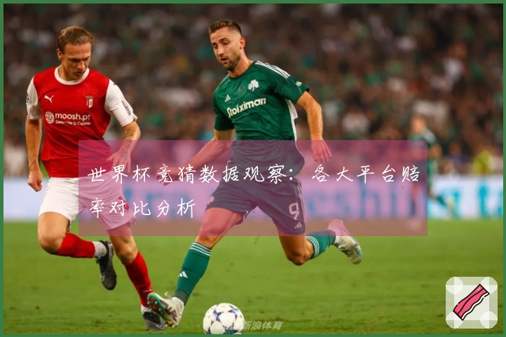 世界杯竞猜数据观察：各大平台赔率对比分析
