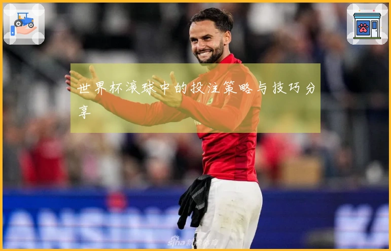 世界杯滚球中的投注策略与技巧分享