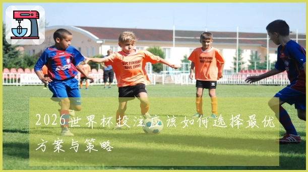 2026世界杯投注应该如何选择最优方案与策略