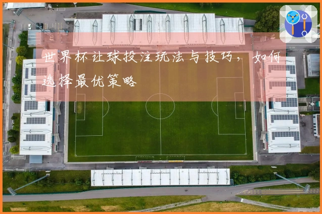 世界杯让球投注玩法与技巧，如何选择最优策略