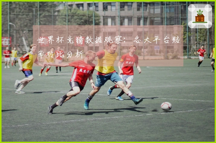 世界杯竞猜数据观察：各大平台赔率对比分析