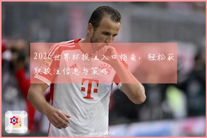 2026世界杯投注入口指南，轻松获取投注信息与策略