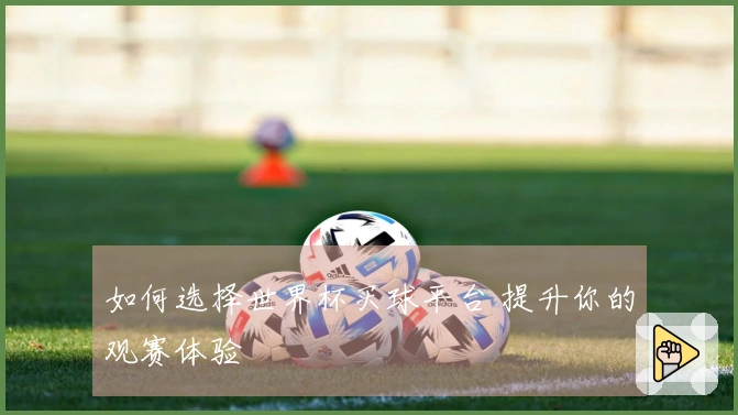 如何选择世界杯买球平台 提升你的观赛体验