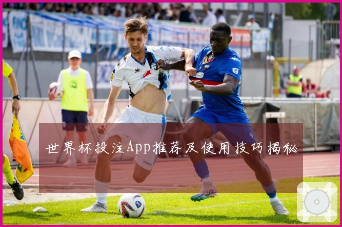 世界杯投注App推荐及使用技巧揭秘
