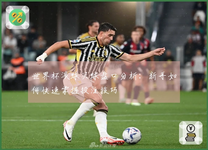 世界杯滚球买球盘口分析：新手如何快速掌握投注技巧