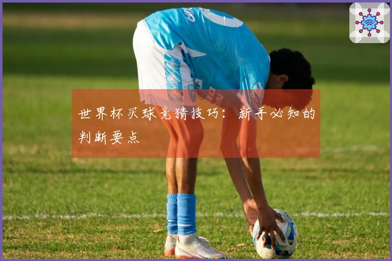 世界杯买球竞猜技巧：新手必知的判断要点