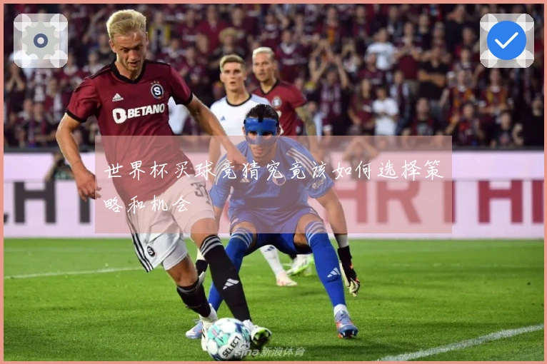 世界杯买球竞猜究竟该如何选择策略和机会