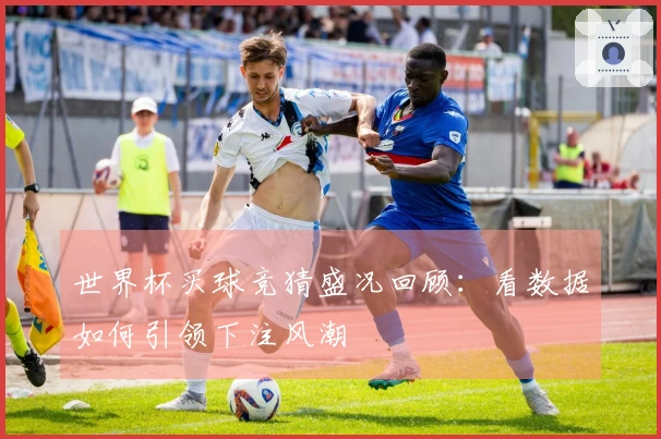 世界杯买球竞猜盛况回顾：看数据如何引领下注风潮
