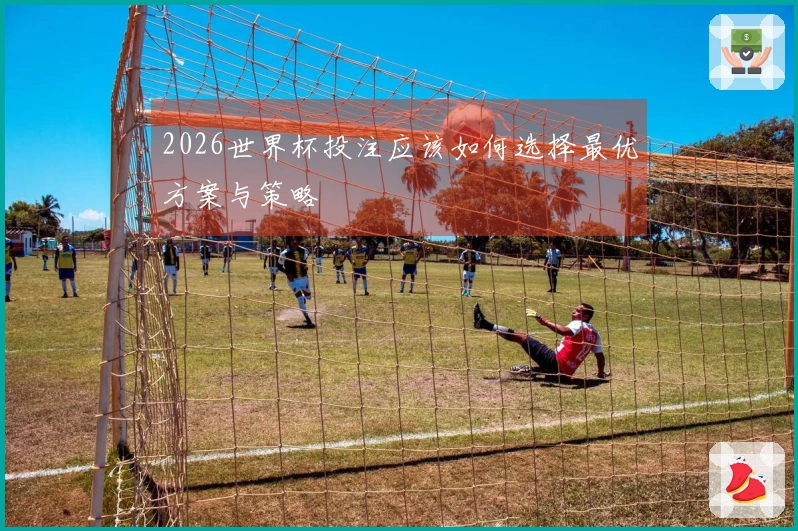 2026世界杯投注应该如何选择最优方案与策略